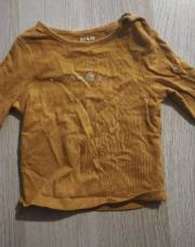 Sweat shirt fruit 3 m