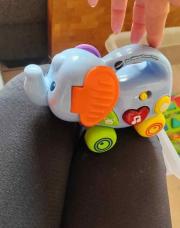 Elephant 
