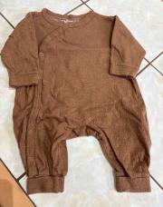 Pyj 56 zeeman