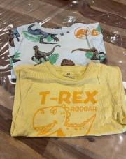 Lot de deux T-shirts dinosaures T:98-104cm