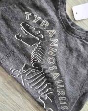 Sweat dino 4/5ans 