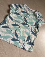 T-shirt baleine orchestra 23 mois 