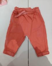 Training rose 18M