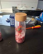 Bouteille sensorielle noel 