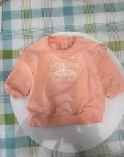Pull papillon