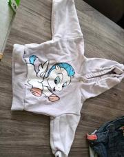 Pull Pégase 9-12m