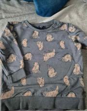 Pull brun chiens 2 ans
