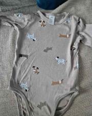 Bodie chiens 18m