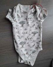 Body T92