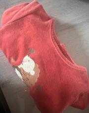 Pyjama hérisson 6 m