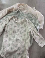 Lot 3 body 