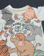 Thee shirt DISNEY 9/12M