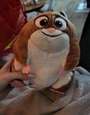 Doudou hamster