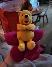 Doudou winnie