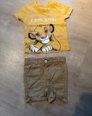 Ensemble Simba