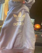 Sweat Adidas bleu 2-3A