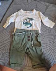 Ensemble TAO crocodile