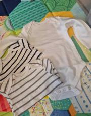 3 bodys longues manches 