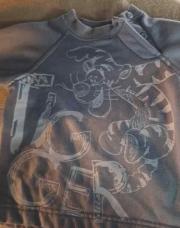 Pull Tigrou bleu 9 mois