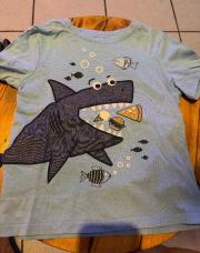 Tee-shirts requin 