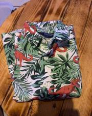Chemise dinosaures 