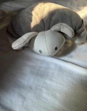 Bouillotte 