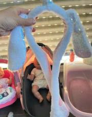 Oreille de lapin