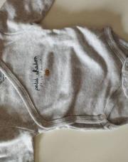 Body naissance chaton gris 
