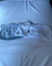 Lot bonnet (3) 