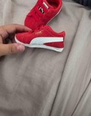 Basket puma pointure 17 