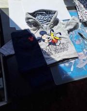 training Mickey