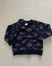 Sweat dino - Tex - 3 mois 