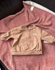 Pull moré lobe brun 6m