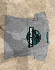 Tee-shirt gris Jurrasic 