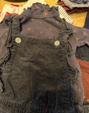 Ensemble pull/salopette 9mois