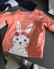 T shirt lapin 
