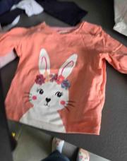 T shirt lapin 