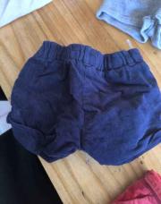 Short velours bleue 9 mois 