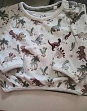 Pull Dinosaurz