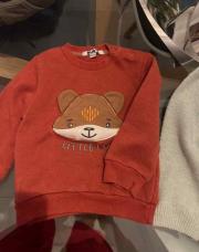 Pull Little fox-12 mois