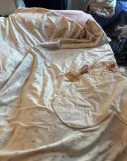 Housse de couette, Noukies, collection Joy et Lina 