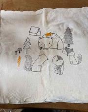 Couverture orchestra renard