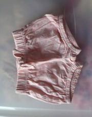 short rose 