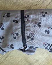 Veste mickey 12M
