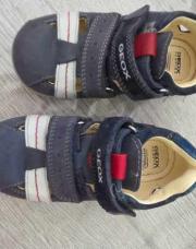 Geox bleue 