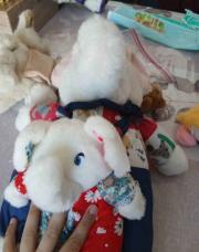 Elephante enfant et papa