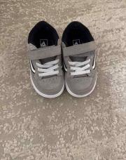 Basket Vans
