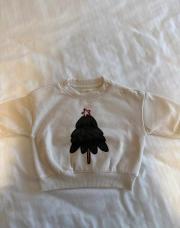 Pull Noël ZEEMAN 6 mois