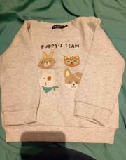 Pull puppy's tram 86