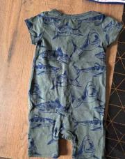 Ensemble requin